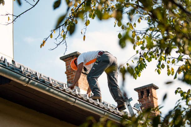 Best Roof Moss and Algae Removal  in Falling Waters, WV